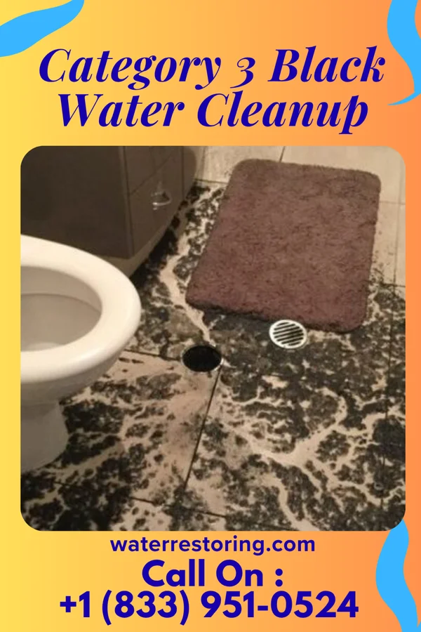 Category 3 Black Water Cleanup in Murtaugh, ID