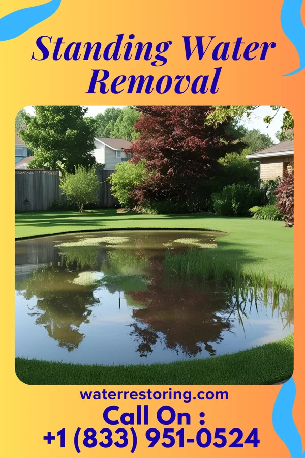 Standing Water Removal in Murtaugh, ID